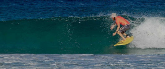 THE GOLDEN RULES & WARRANTY